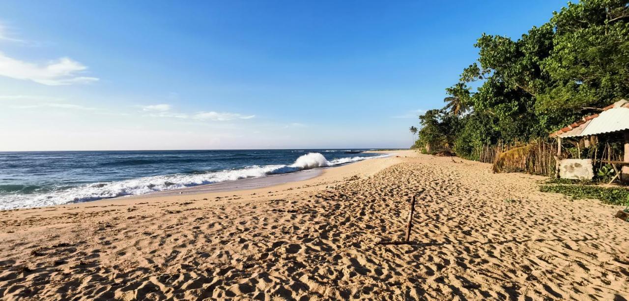 Surf Sea Breeze Hotel Mirissa Luaran gambar